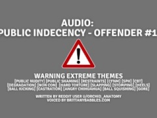 *WARNING EXTREME THEMES* Audio: Public Indecency - Offender #1