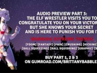 Audio Preview Part 3: The Elf Wrestler Visits You to Congratulate You On Your Victory...